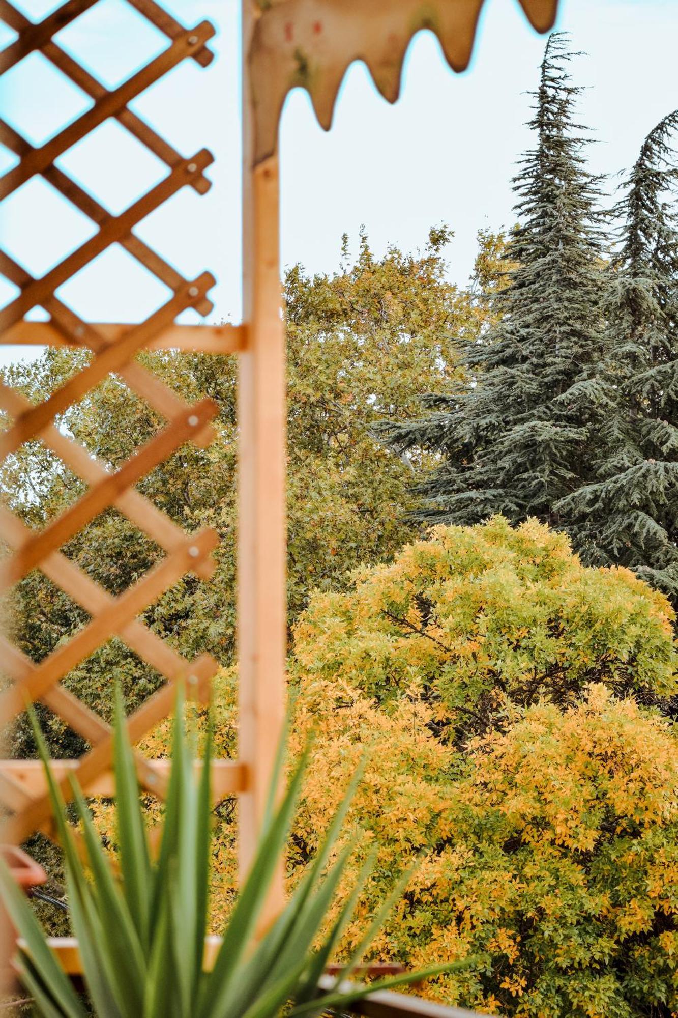 Ευελη Apartment Edessa Bagian luar foto